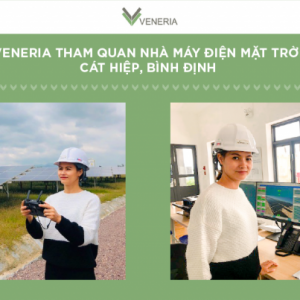 Visitation To Binh Dinh’s First Solar Plant